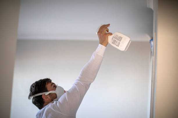 Best Mold Damage Repair  in West Hammond, NM