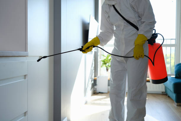 Best Certified Mold Removal  in West Hammond, NM